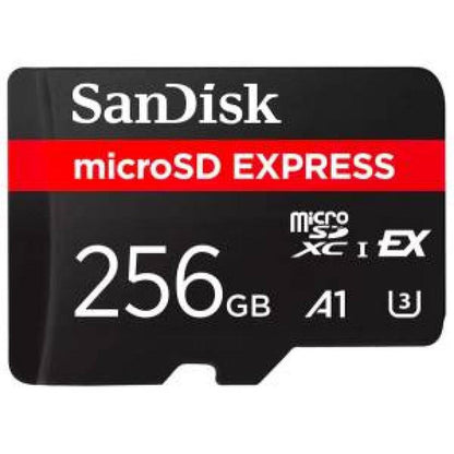 Sandisk Switch microSDXC 256GB U3 A1 UHS-I 880MB/s